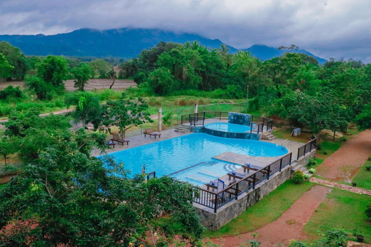 Sigiriya Kingdom Gate Dambulla Hotel Ngoại thất bức ảnh