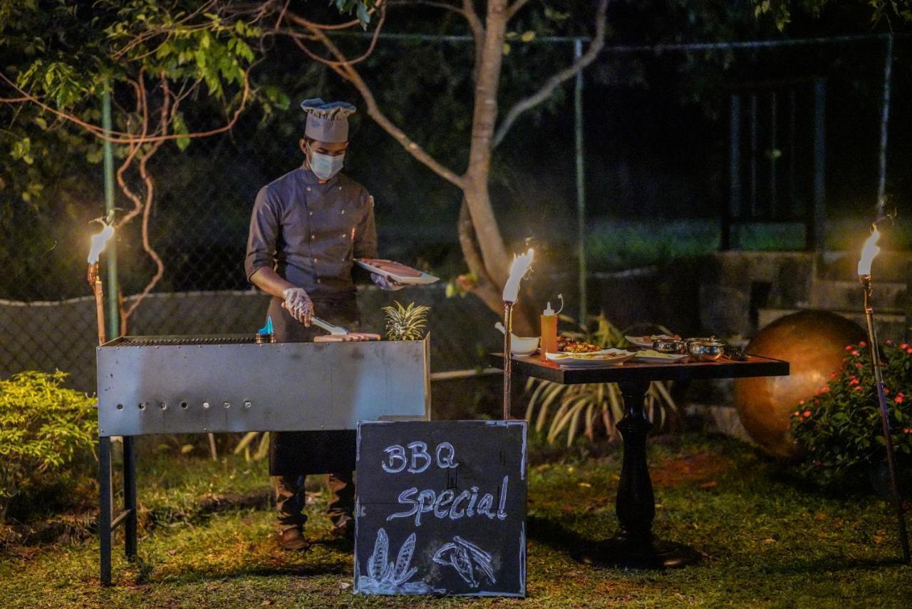 Sigiriya Kingdom Gate Dambulla Hotel Ngoại thất bức ảnh