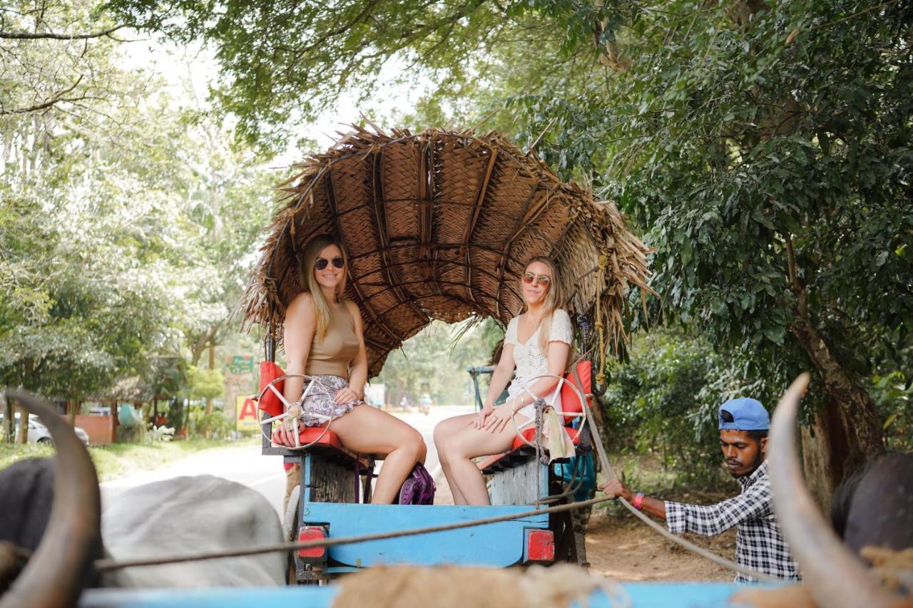 Sigiriya Kingdom Gate Dambulla Hotel Ngoại thất bức ảnh